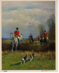 Fox hunting, polo and other horse prints